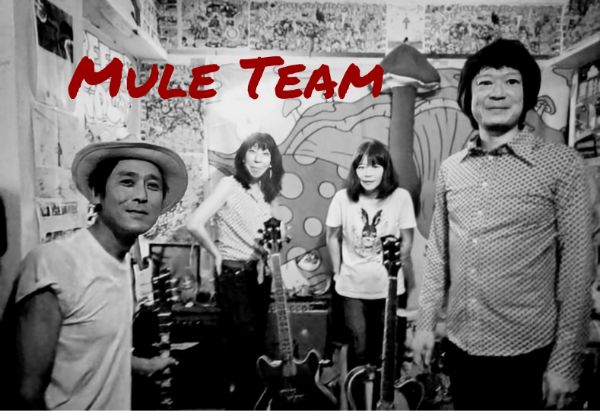 写真:MULE TEAM